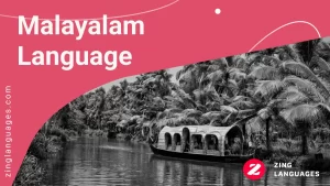 Malayalam language