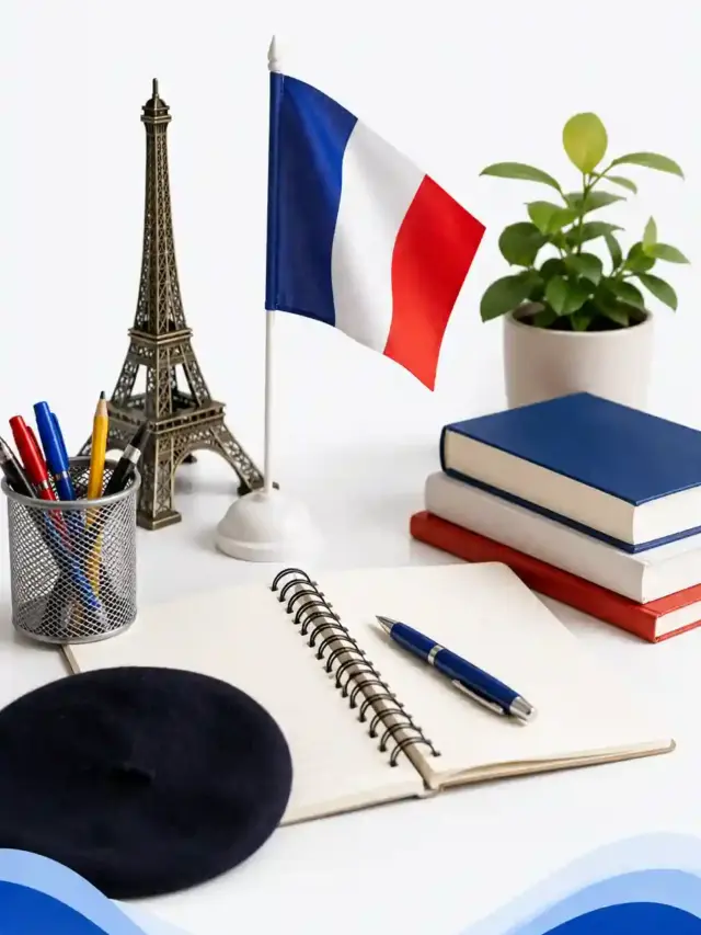French Basics for Beginners
