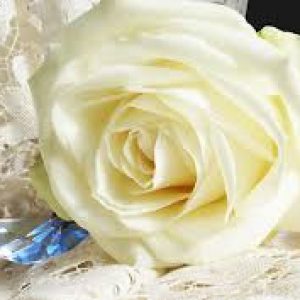 Profile photo of Varunikha